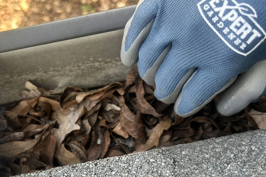 Gutter Cleaning South Congaree