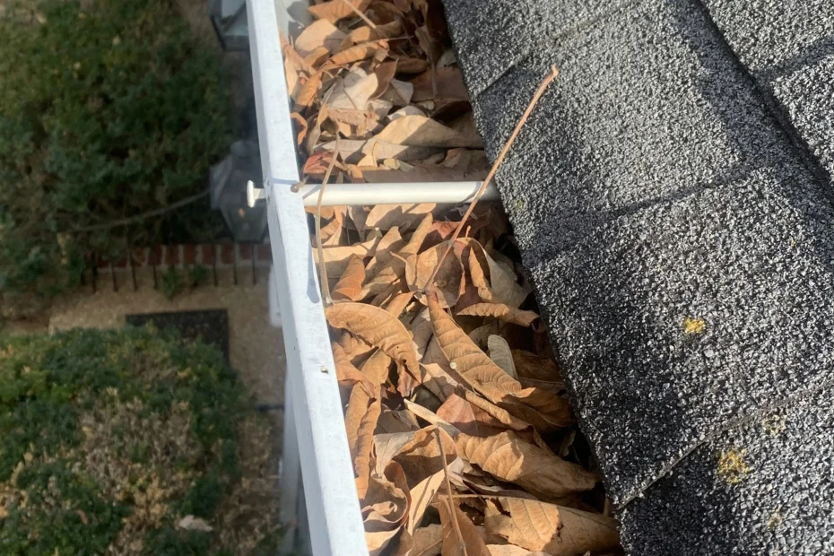 Gutter Cleaning South Congaree