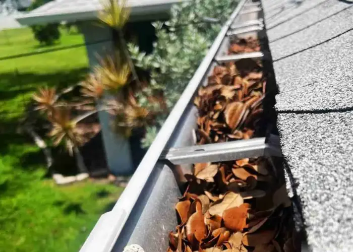 Gutter Cleaning South Congaree home page